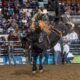 Brody Cress Wins 2024 National Western Stock Show & Rodeo